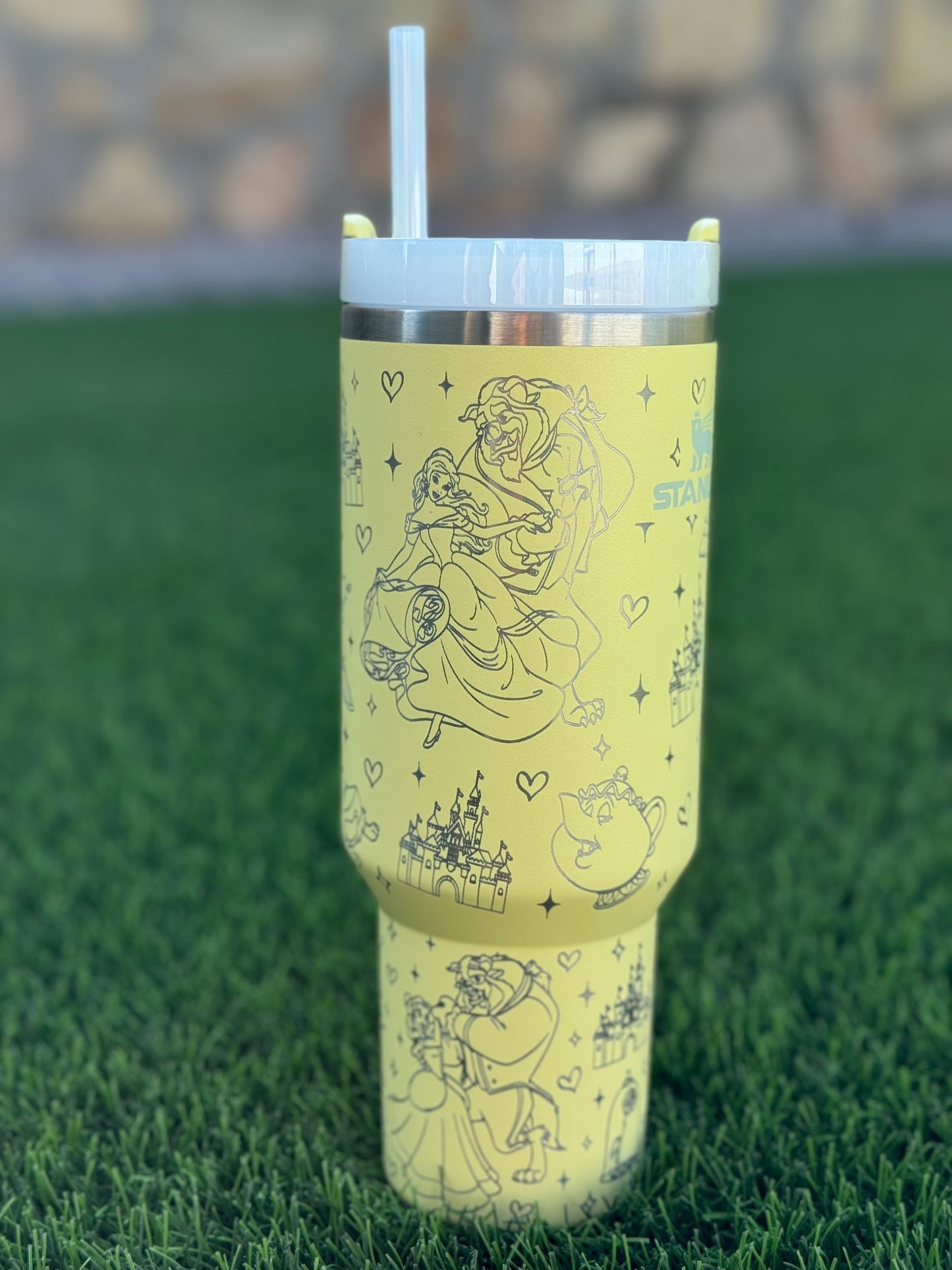 Beauty and the Beast full wrap