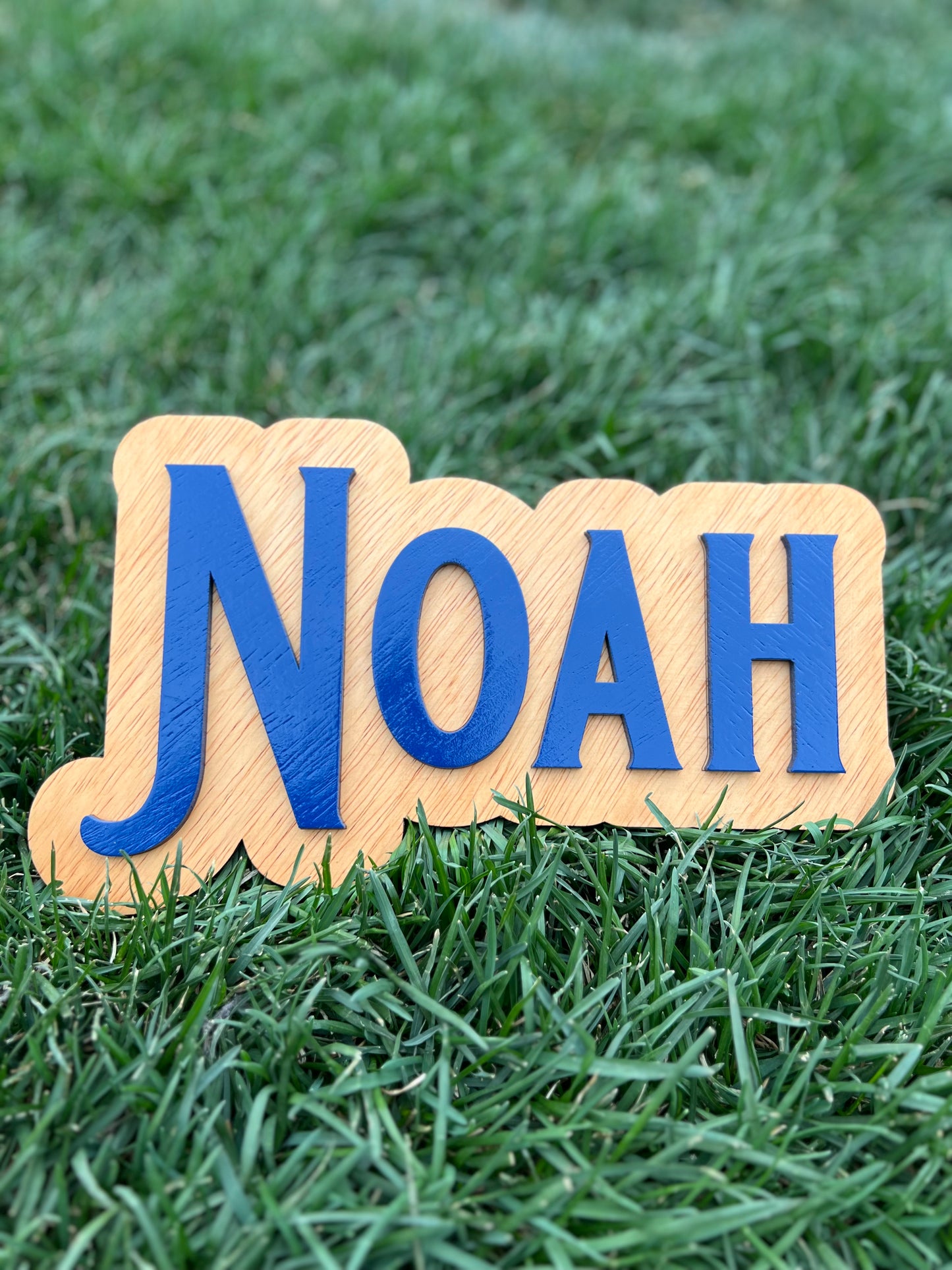 Custom Name Signs Die Cut 10"